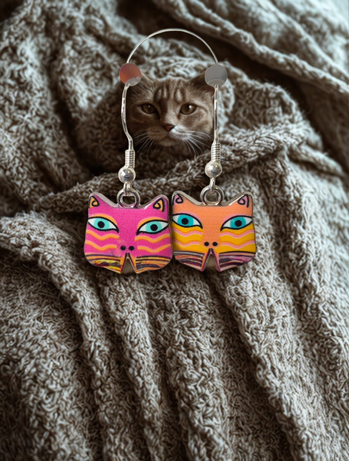 Sorcey kitten